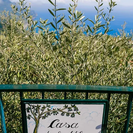 Casa Degli Ulivi * Ravello